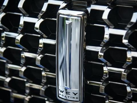 承载30万+车主信赖，WEY以创新战略驱动未来发展