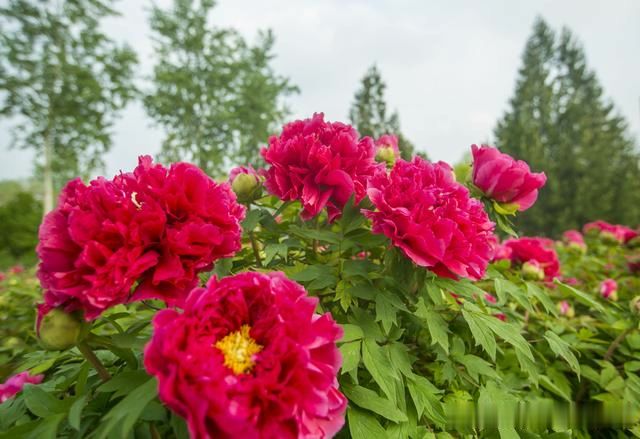 故事分享：贵阳观山湖区学生服务到底怎么样？一站式解决家长焦虑的终极方案