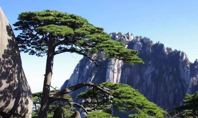 中国最著名的五大名山,爬过三座算合格,第五座被誉为华夏之根