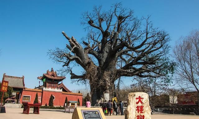 景点封面