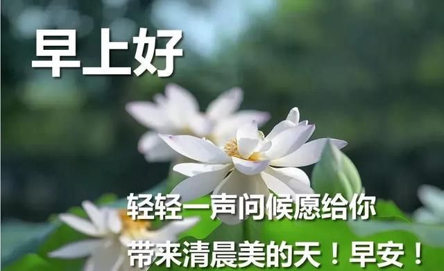 早上好唯美暖心问候语 早安祝福语漂亮图片