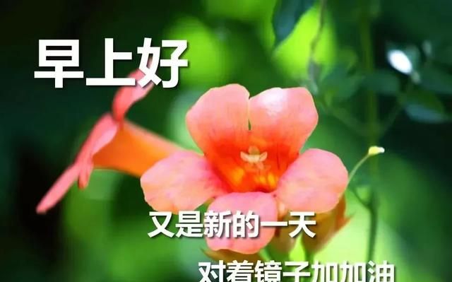 早上好唯美暖心问候语 早安祝福语漂亮图片