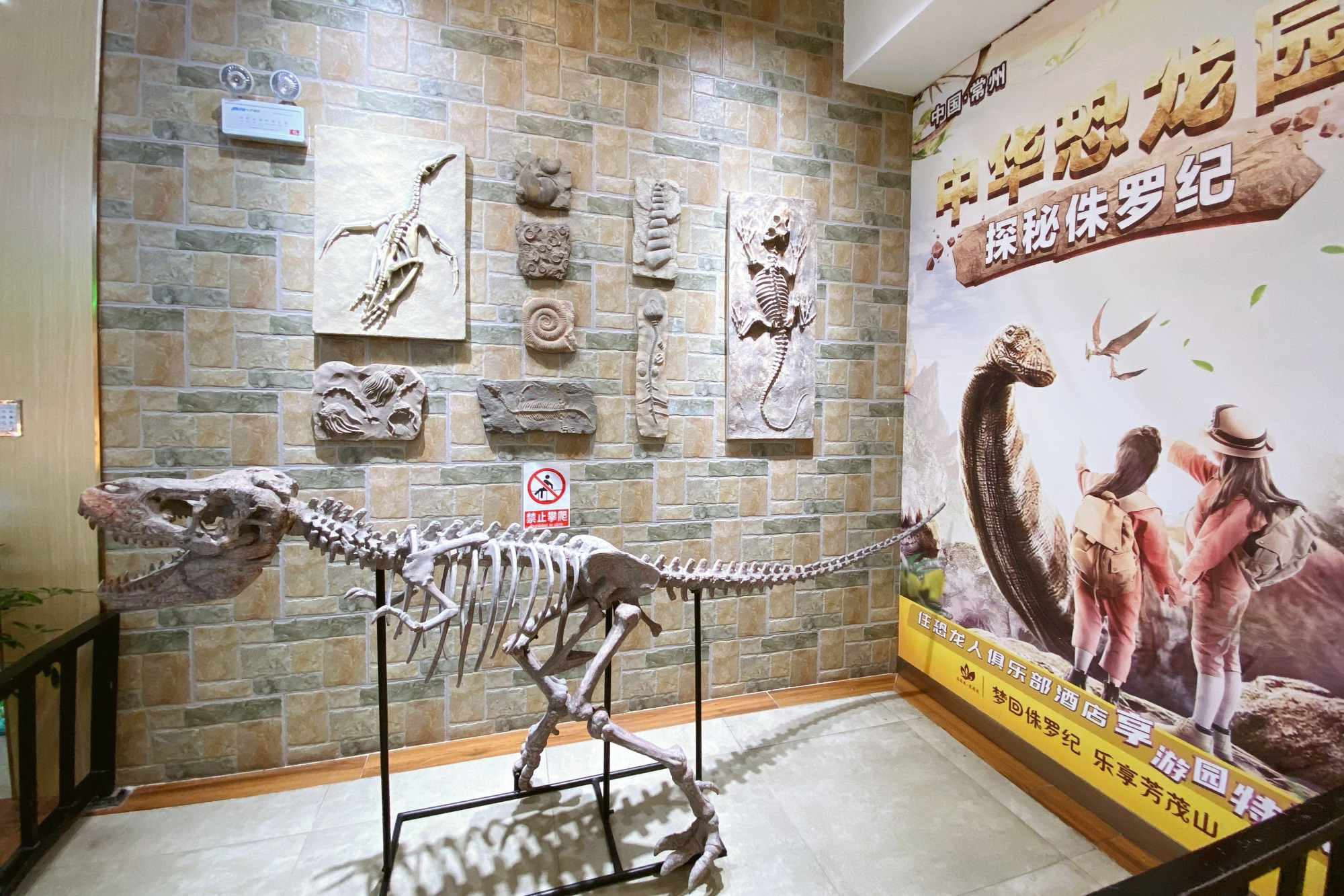 江苏常州最美的高速服务区,以恐龙元素为主题,好像穿越了时空 江苏常州最美的高速服务区,以恐龙元素为主题,好像穿越了时空