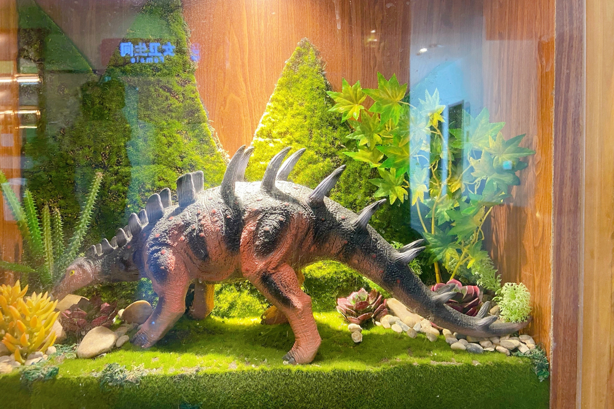 江苏常州最美的高速服务区,以恐龙元素为主题,好像穿越了时空 江苏常州最美的高速服务区,以恐龙元素为主题,好像穿越了时空