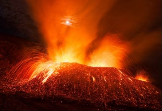 世界上最不怕热的动物，把火山当作“游泳池”，怎么烫也没事