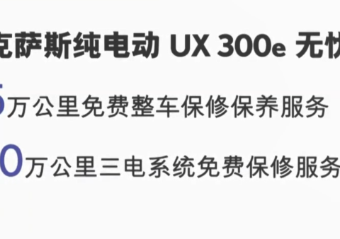 暂停，继续？雷克萨斯首款纯电动车UX300e
