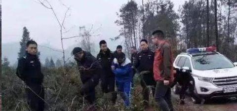 湄潭一男子把自家207棵树全部砍倒了，准备种茶叶被拘留