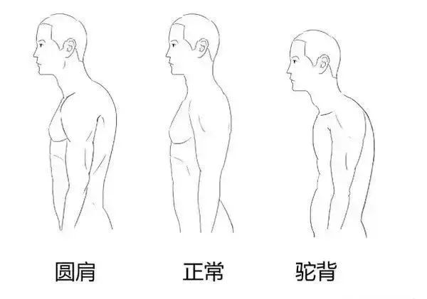 直角肩训练,练完斜方肌像被"削走"两大块,整个人都轻盈了