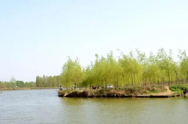 大风天,抛投不精准,浮漂走水,这四个招数一