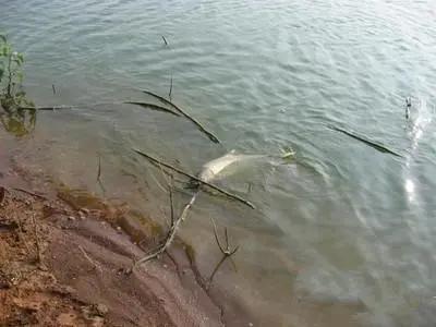 大风天,抛投不精准,浮漂走水,这四个招数一