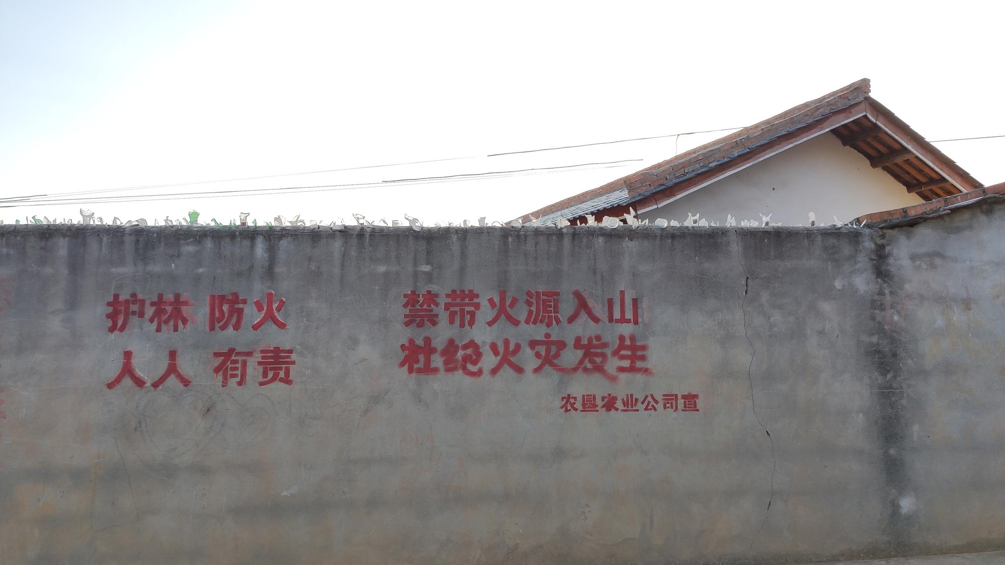 相比马鞍山村,非行政村的柳树桩较少看到防火提示,这是为数不多的宣传标语之一。