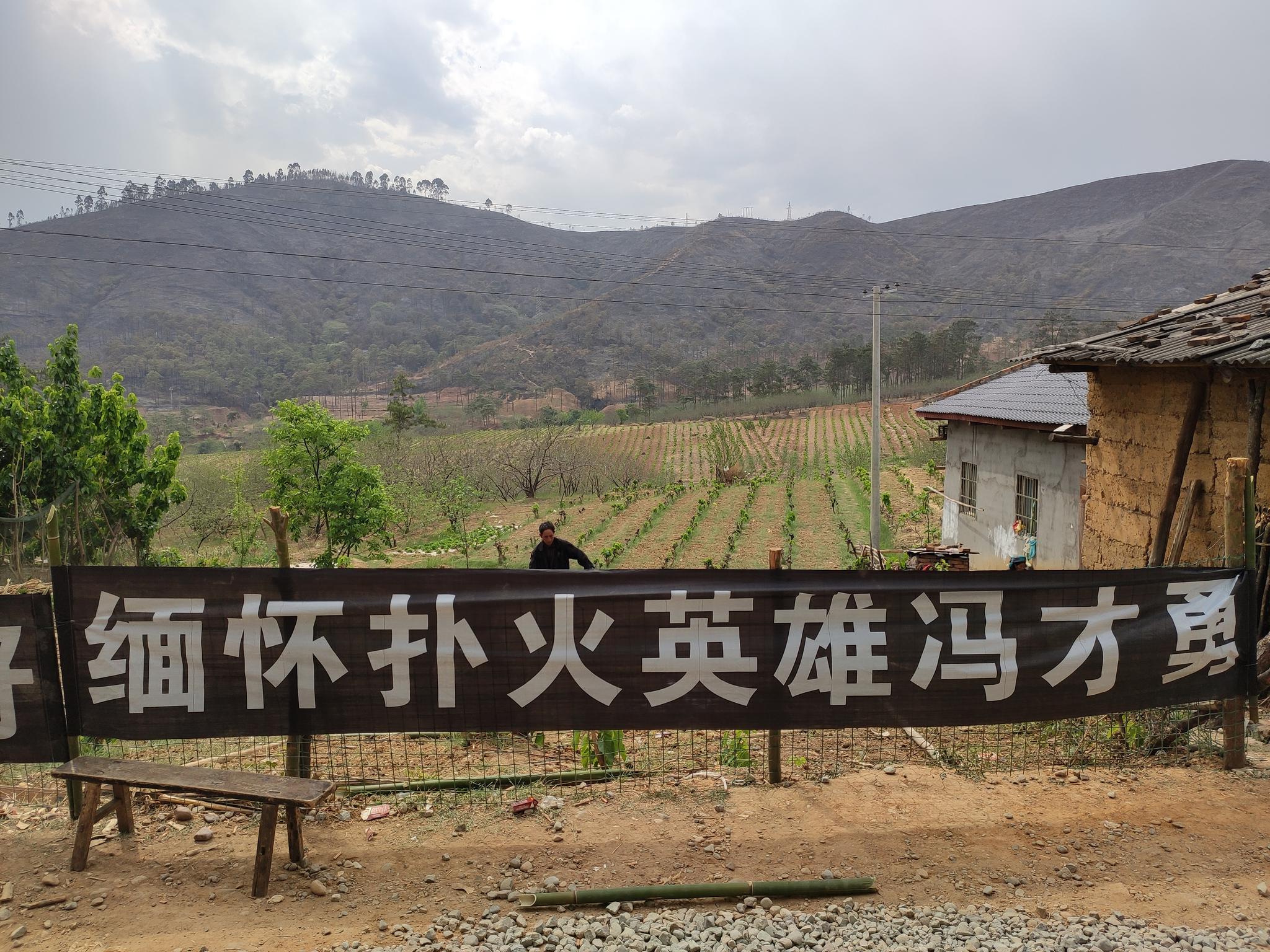 冯家门前拉起的悼念横幅,不远处的马鞍山已被烧得灰暗无青。