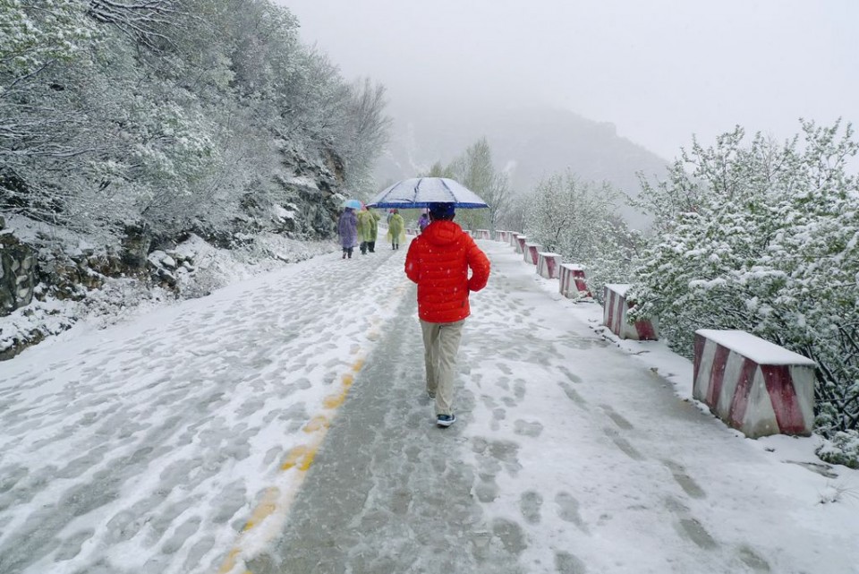 1816年七八月下大暴雪全球都是冬天为什么会这样