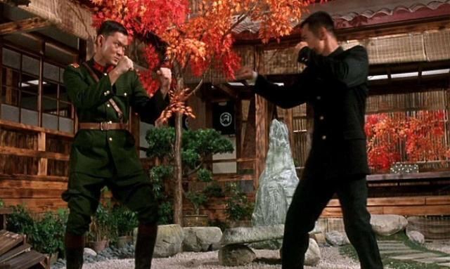 十大武打明星武力值对比,谁更厉害?第一名不得不服!