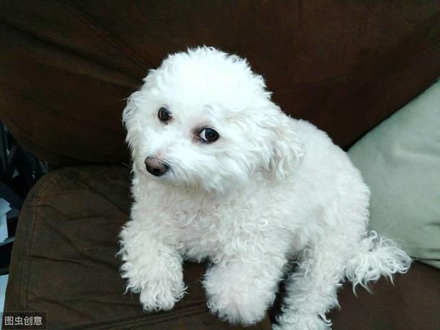 包小妹24小时服务电话全攻略，全面指南与真实体验