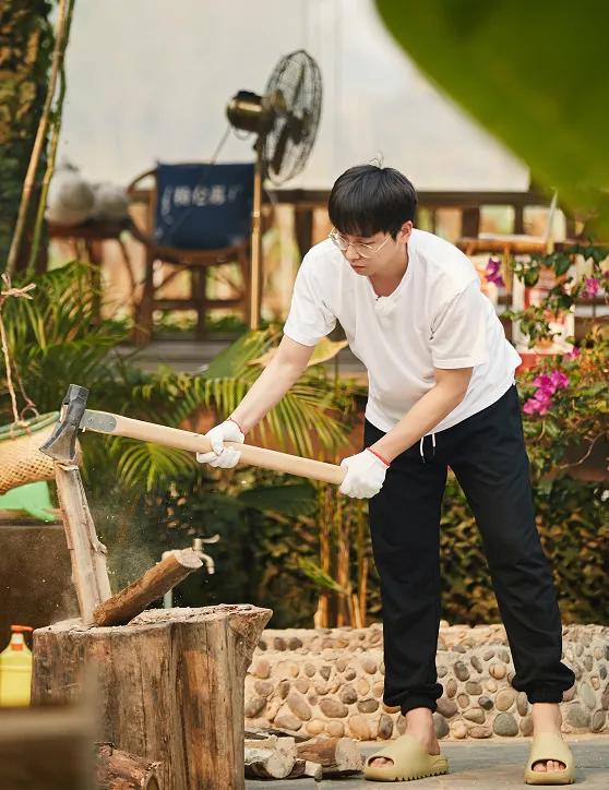 向往的生活太偏心,彭昱畅砍柴又摘果子,再看张子枫,富