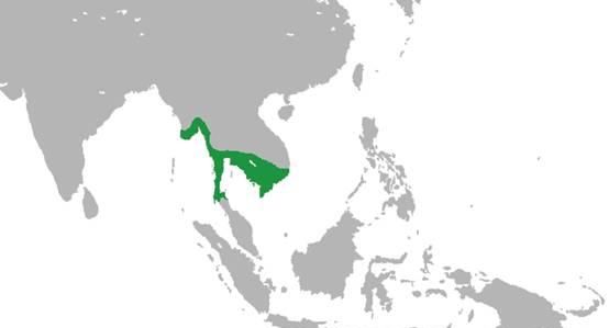 曾经的东南亚第一强国，高棉帝国是怎么衰败的？