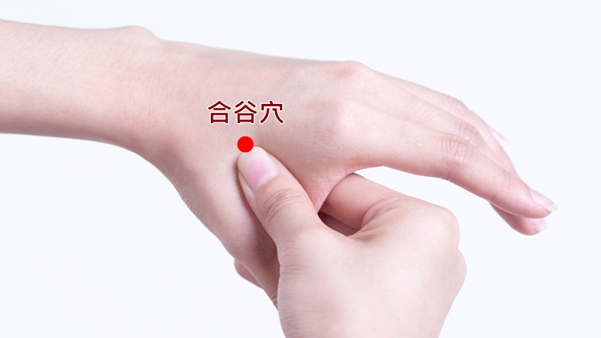 常按合谷穴也能治针眼中医针灸的十总穴歌诀中,面口合谷收指出合谷穴