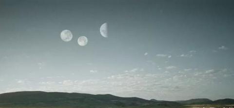 现在有玩行尸走肉生存本能的吗 请求发给我