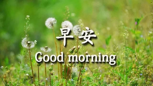 早上好问候语祝福带字 发朋友圈最暖心的早上好祝福句子