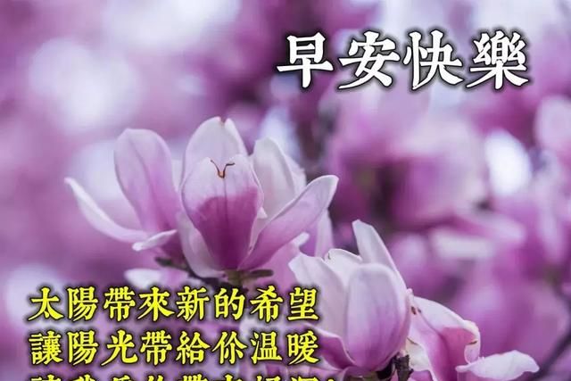 早上好问候语祝福带字 发朋友圈最暖心的早上好祝福句子