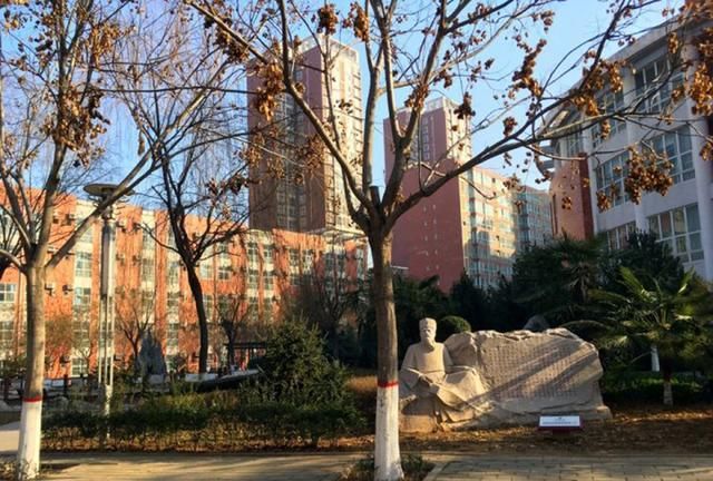 2020渭南市高中学校_省属高校唯一!渭南师范学院赵琦荣获2020年“陕西省
