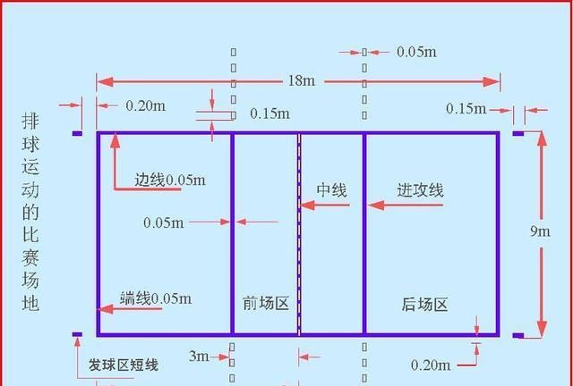 有图!看不懂女排比赛?轮次和站位又是啥
