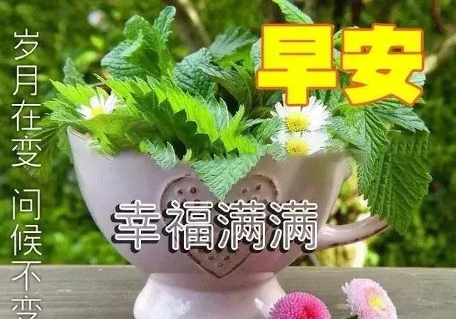 好看的夏天唯美早安图片 唯美的鲜花早上好动态图片带