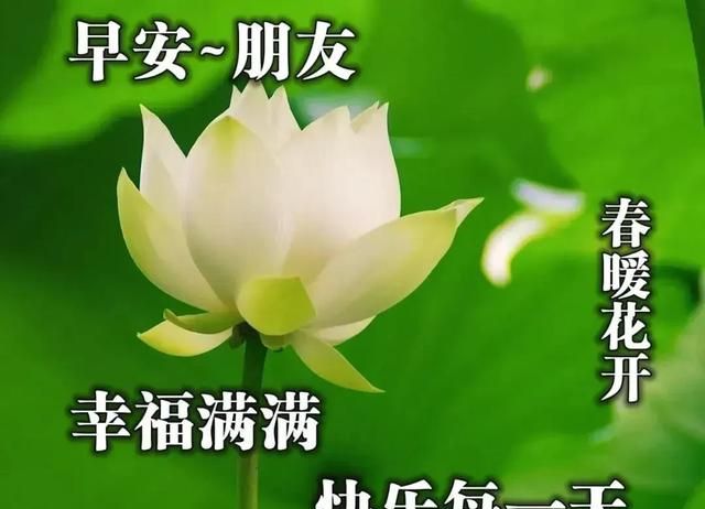 5月7日最漂亮的早上好祝福语图片温馨 清晨群发短语暧