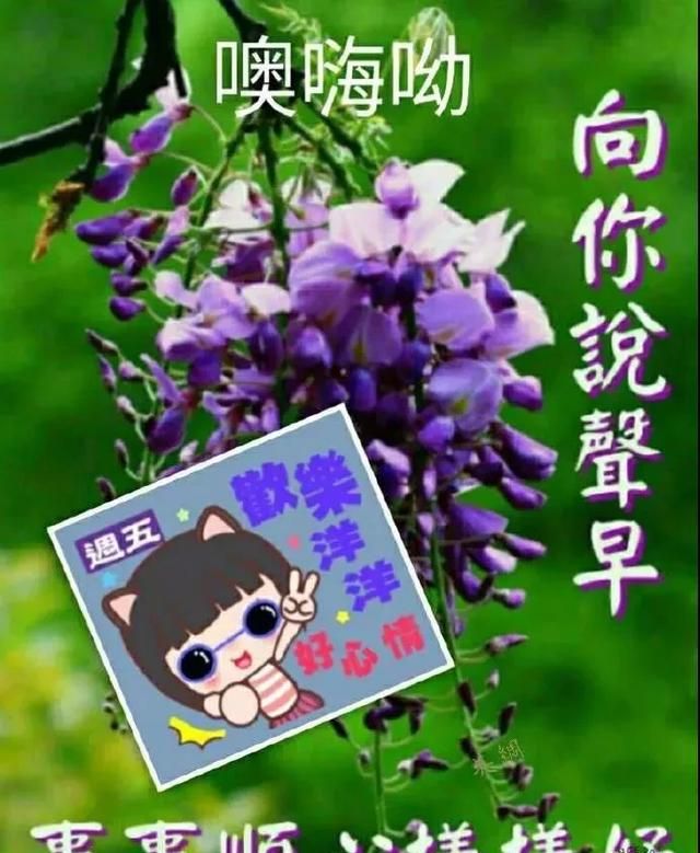 好看的夏天唯美早安图片 唯美的鲜花早上好动态图片带