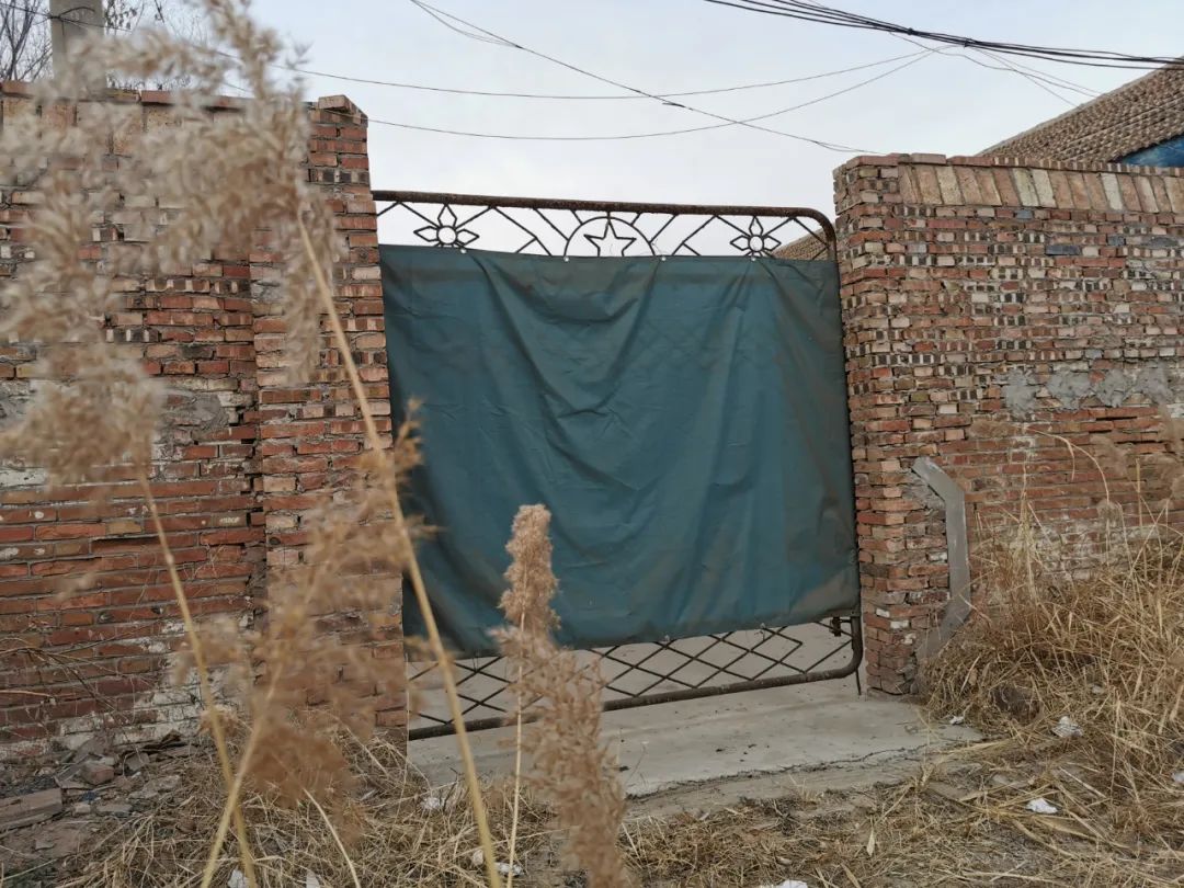 手术场地院内、院外杂草丛生。新京报记者 李英强 摄