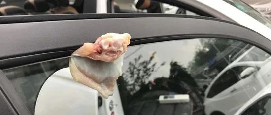 消费提示：近1/4车型不带电动窗防夹功能