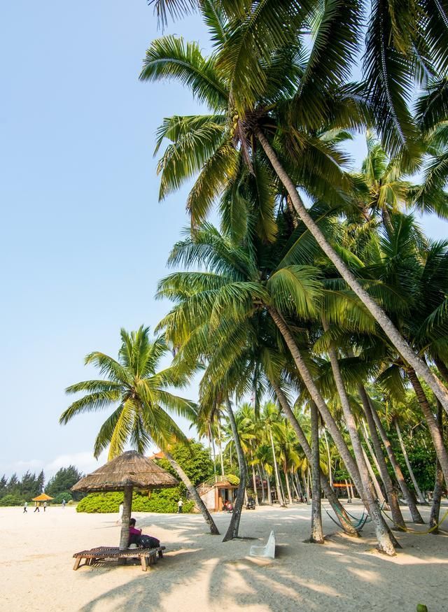 海南最美的小镇,到处都是椰子树
