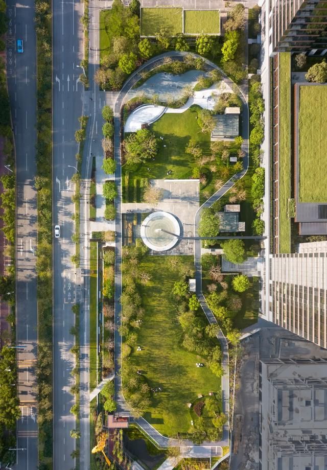 赏析深湾街心公园|深湾|街心公园|深圳湾_新浪新闻