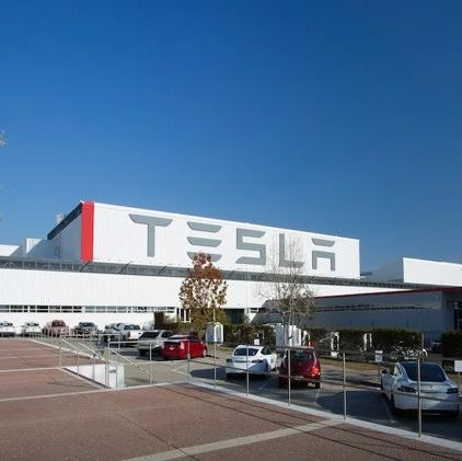 与马斯克起争执 特斯拉欧洲区主管离职