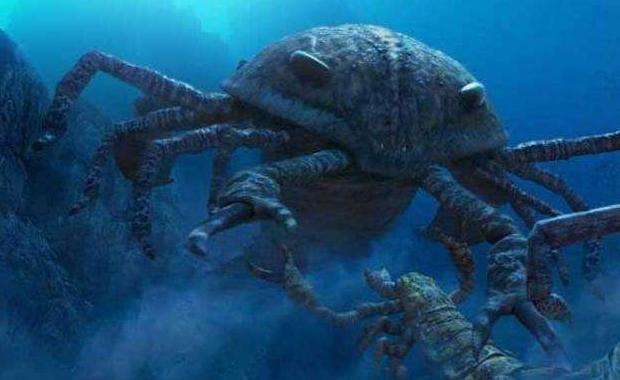 实景拍摄深海生物,长相丑陋凶悍