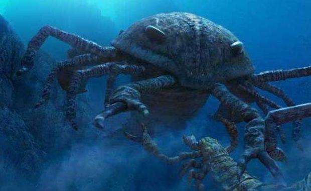 海底一万米有多恐怖?实景拍摄深海生物,长相丑陋凶悍