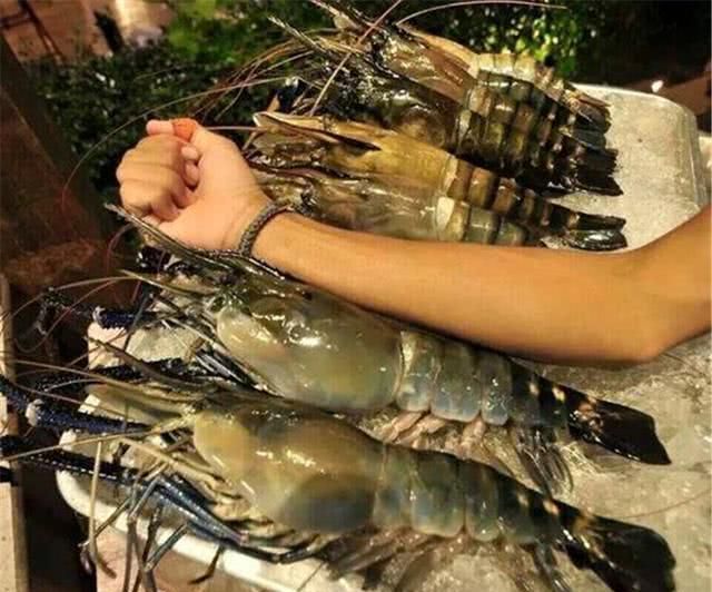湄公河罗氏沼虾泛滥,但当地人却不喜欢吃