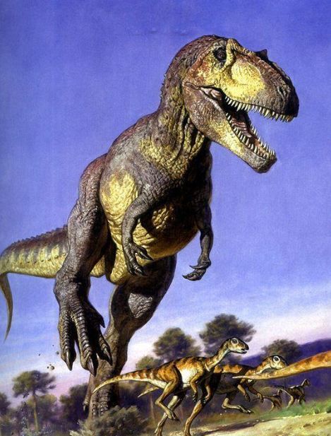霸王龙是不是最厉害的恐龙?它真的没有对手吗?