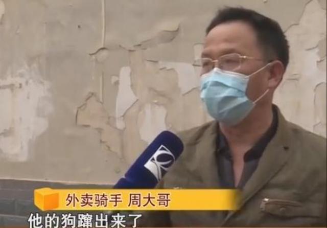 外卖骑手上门送餐,却被屋内宠物狗咬伤?狗主人:没牙印不算咬