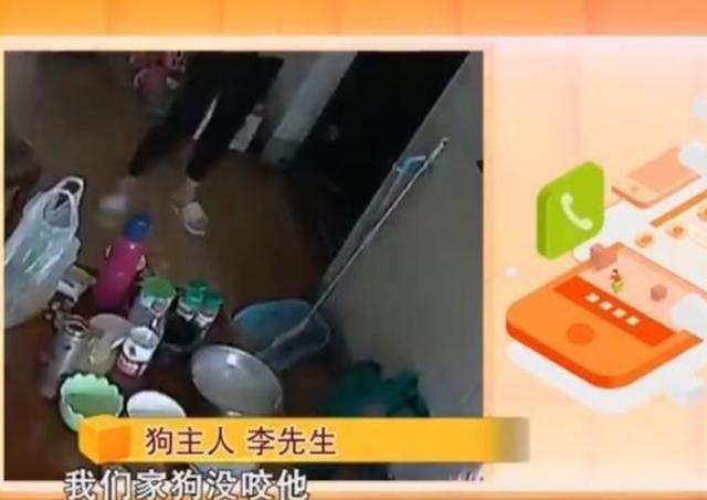 外卖骑手上门送餐,却被屋内宠物狗咬伤?狗主人:没牙印不算咬