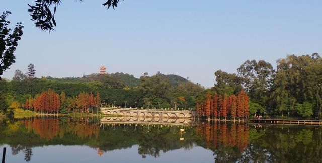 广州麓湖公园,划船骑行的休闲好去处