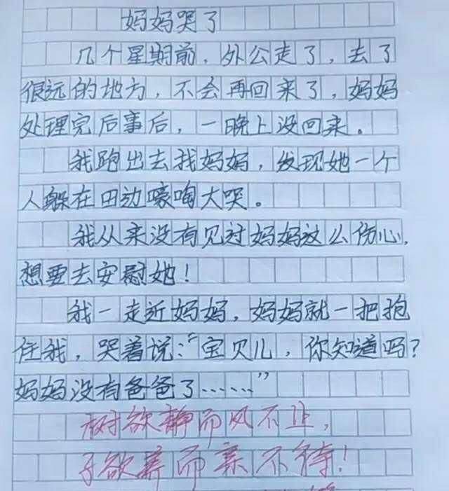 小学生的"奇葩"作文,老师拍手叫好,网友:这就是段子!