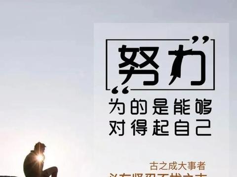 一品论坛：普通人也能看懂的生活智慧指南