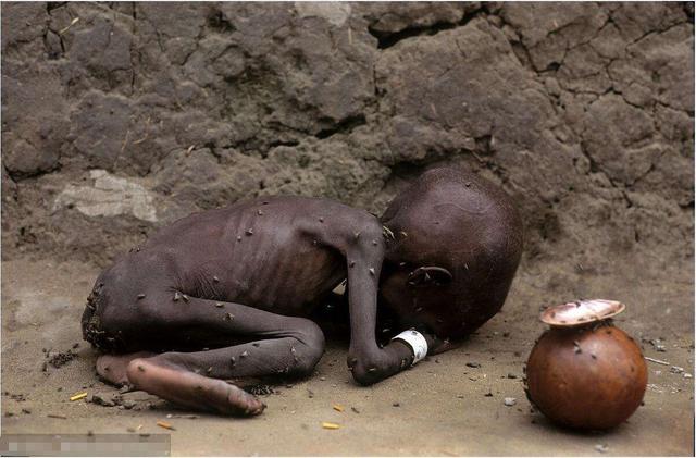 被"惯坏"的非洲小孩,我国人不给钱就扔石子?同情心被耗尽