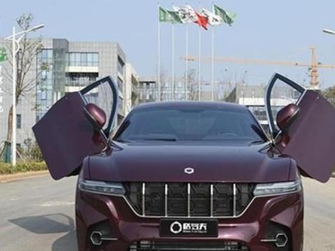 国内诞生首款“氢燃料”电池车，蝴蝶车门