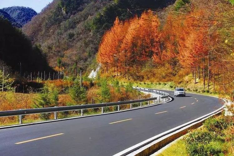 中国国道长度排行榜,著名的g318川藏线憾失榜首,最长是哪条?