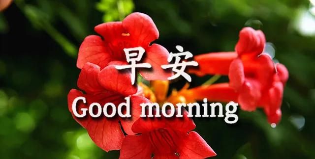 很暖心的早上好问候动态表情图片 早安心语早上好最好看动态图