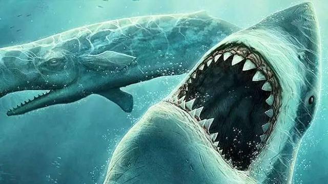 800万年前深海巨兽角逐,为什么顶级掠食者巨齿鲨输给了鲸鱼