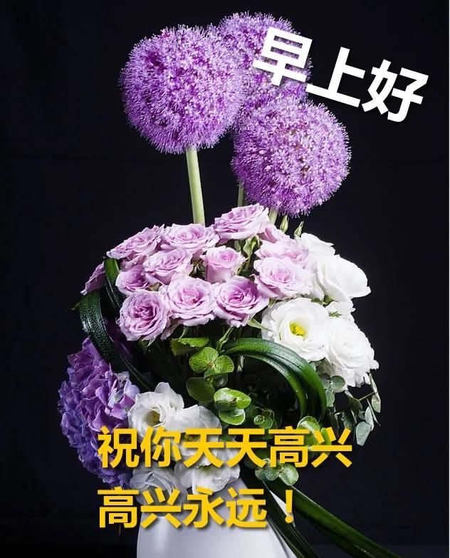 很暖心的早上好问候动态表情图片 早安心语早上好最好看动态图